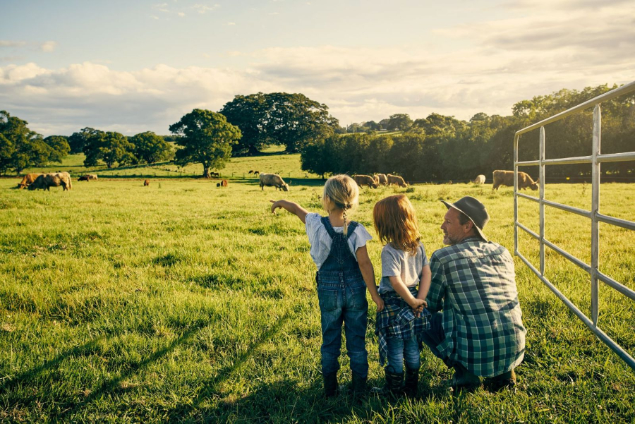 Financial Planning - Farm Accountants WA